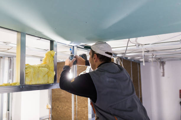 Best Eco-Friendly Insulation in Hughes Springs, TX